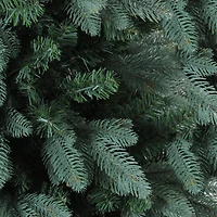 6.5ft. Unlit Real Touch™️ Washington Frasier Fir Artificial Christmas Tree