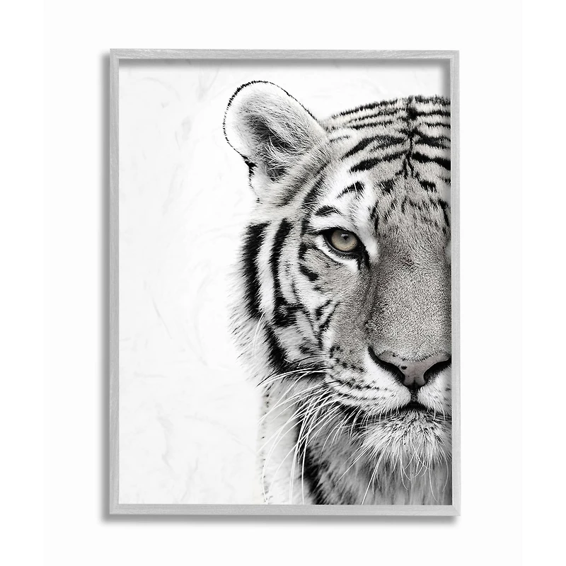 Stupell Industries White Tiger Black & White Photo Wall Accent with Gray Frame