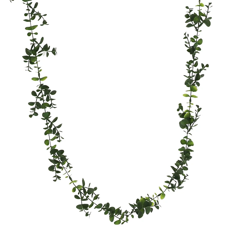 5ft. Eucalyptus Coiled Garland by Ashland® 
