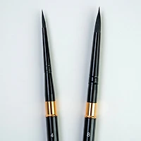 Silver Brush Limited Black Velvet® Large Travel Round Brushes Set