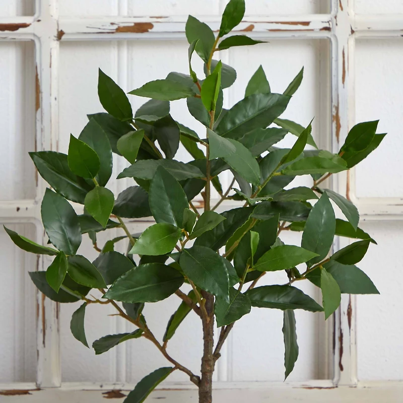 2.5ft. Topiary in Decorative Planter