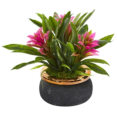 11" Bromeliad Plant in Stoneware Planter