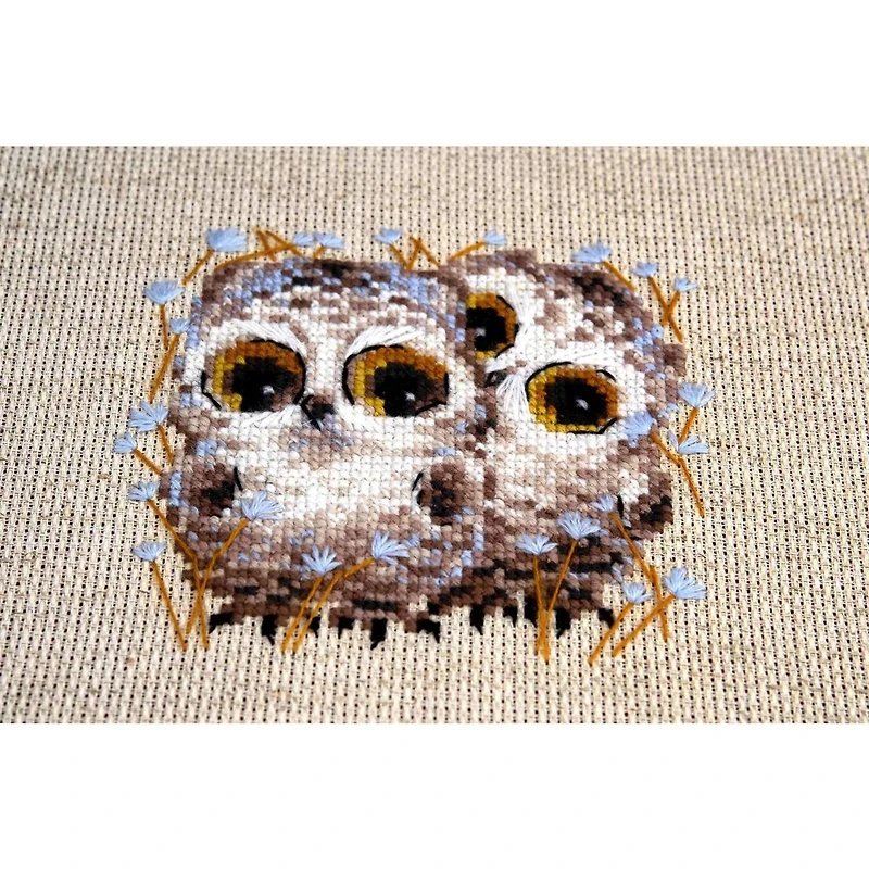 RIOLIS Little Owls Counted Cross Stitch Kit
