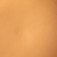 Hello Honey® 10" Orange Terracotta Bowl