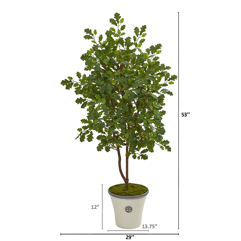 4.5ft. Oak Tree in Decorative Planter