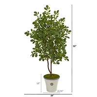 4.5ft. Oak Tree in Decorative Planter