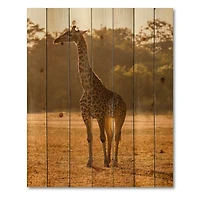 Designart - African Giraffe In The Wild II