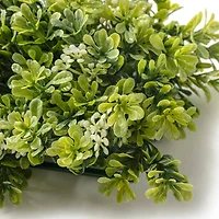 Green Boxwood Mat by Ashland®