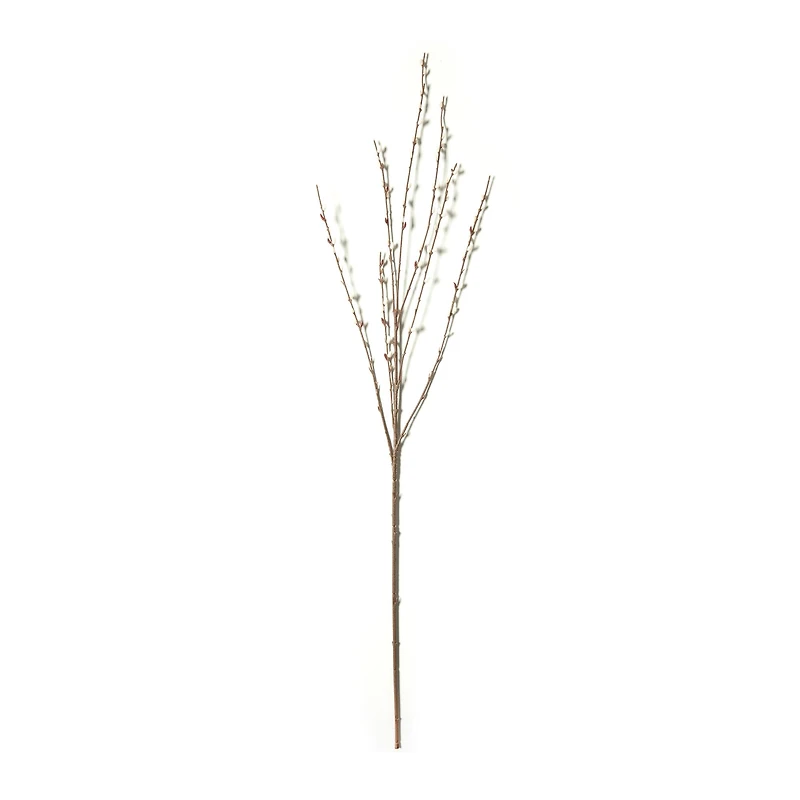 Pussy Willow Stem by Ashland®
