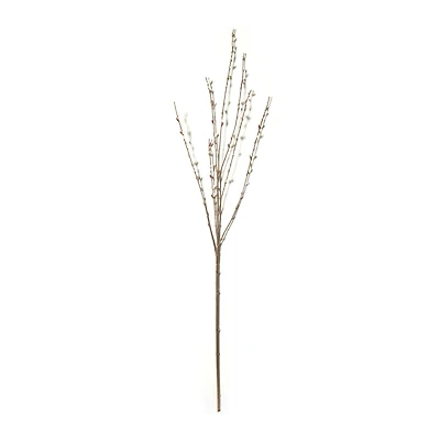 Pussy Willow Stem by Ashland®
