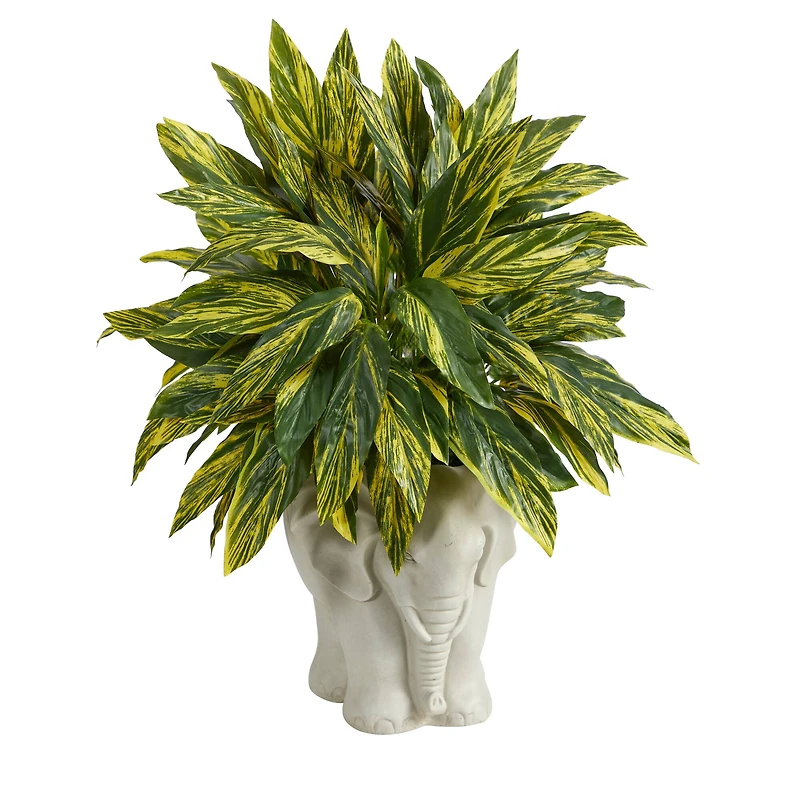 25" Spiderwort Plant in White Elephant Shaped Planter