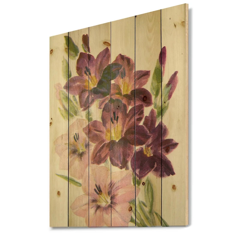 Designart - Retro Light and Dark Pink Gladiolus