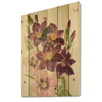 Designart - Retro Light and Dark Pink Gladiolus