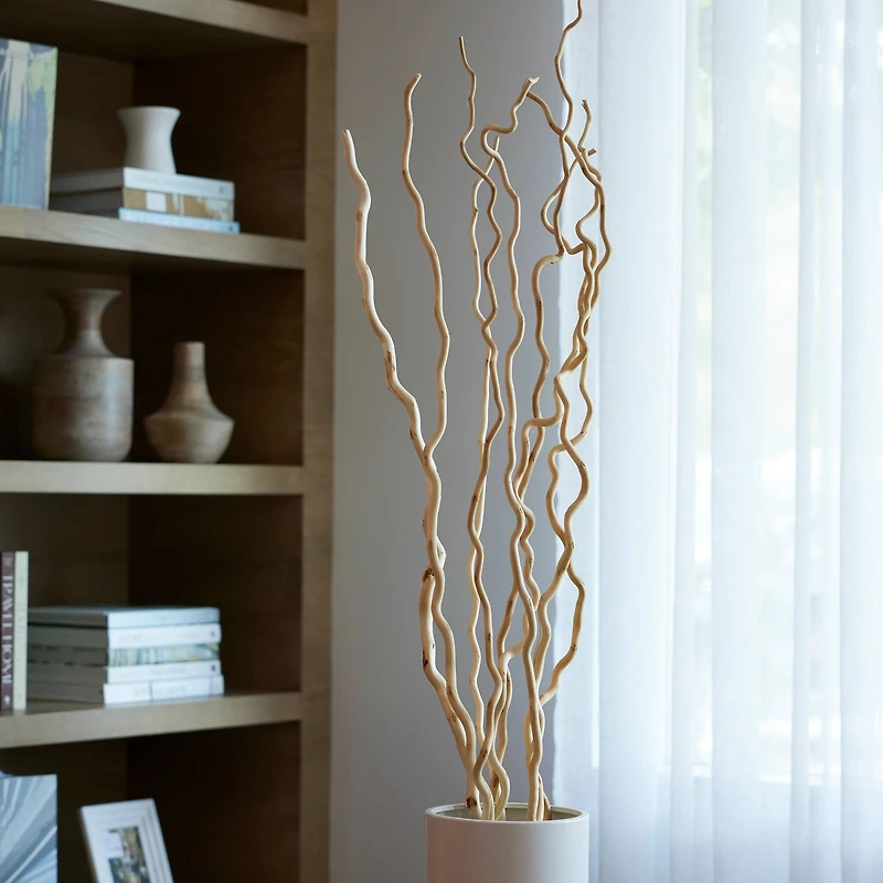6 Pack: Cream Curly Willow Branch Bundle by Ashland®