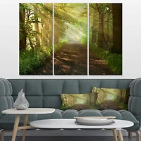 Designart - Suns Peeks into Forest
