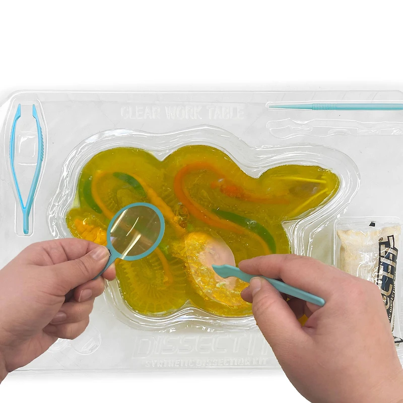 Dissect It Rattlesnake Super Lab Kit