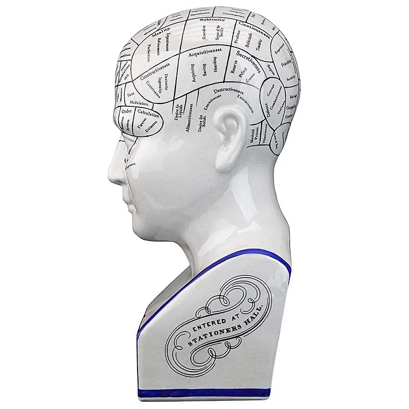 Design Toscano Porcelain Phrenology Head Statue