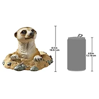 Design Toscano 6.5" Out of Hole Kalahari Meerkat Statue