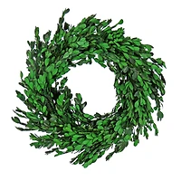 18" Spring Boxwood Wreath