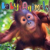 TF Publishing 2024 Baby Animals Wall Calendar