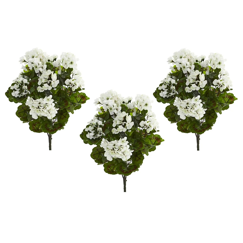 White Geranium Bush, 3ct.