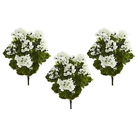 White Geranium Bush, 3ct.