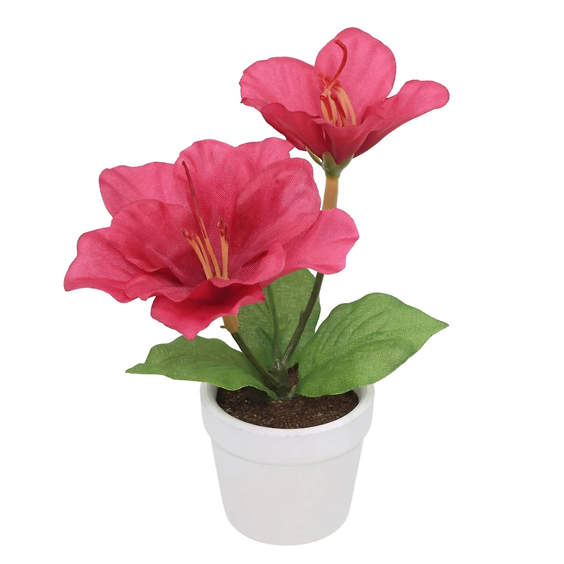 4.5" Fuchsia Azalea Arrangement in White Container by Ashland®