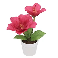 4.5" Fuchsia Azalea Arrangement in White Container by Ashland®