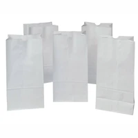 Pacon® Rainbow® White Kraft Bags, 50ct.