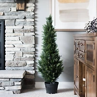 3ft. Potted Cedar Tree