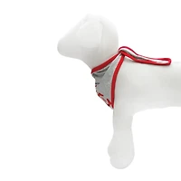 Best Furry Friends Patriotic Bandanas