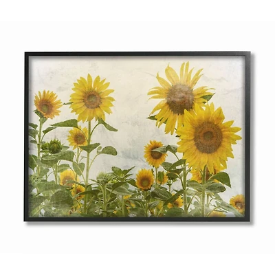 Stupell Industries Sunflower Garden Farm with Black Frame Wall Accent