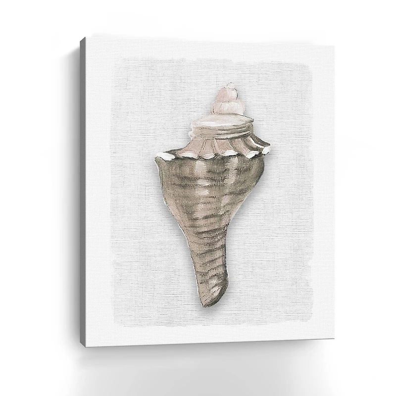 Sea Front Shell I Canvas Giclee