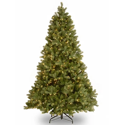7ft. Pre-Lit Downswept Douglas® Fir Tree, Clear Lights