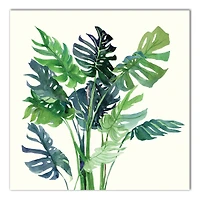 Monstera Leaves 16" x 16" Canvas Wall Art