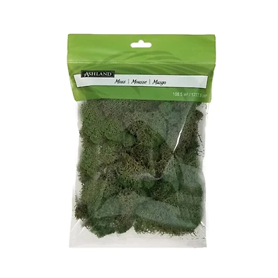 12 Pack: Basil Green Reindeer Moss by Ashland®