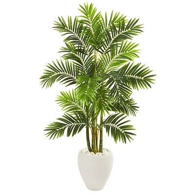 5ft. Areca Palm Tree in White Planter