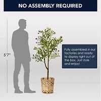 American Art Decor 4ft. Olive Tree in Woven Basket