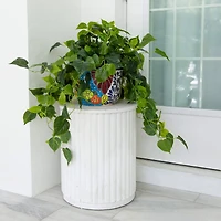 3.5ft. UV-Resistant Artificial Philodendron in Handmade Mexican Talavera Ceramic Planter