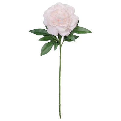 25.5" Peony Real Touch Stem by Ashland