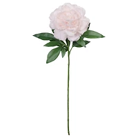 25.5" Peony Real Touch Stem by Ashland