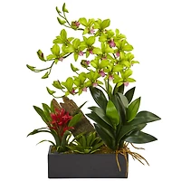 23.5" Pigeon Orchid & Bromeliad Arrangement in Black Rectangle Planter
