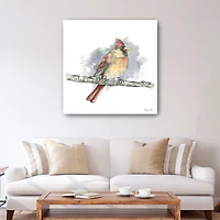 Birds Branches II Female Cardinal Canvas Giclee