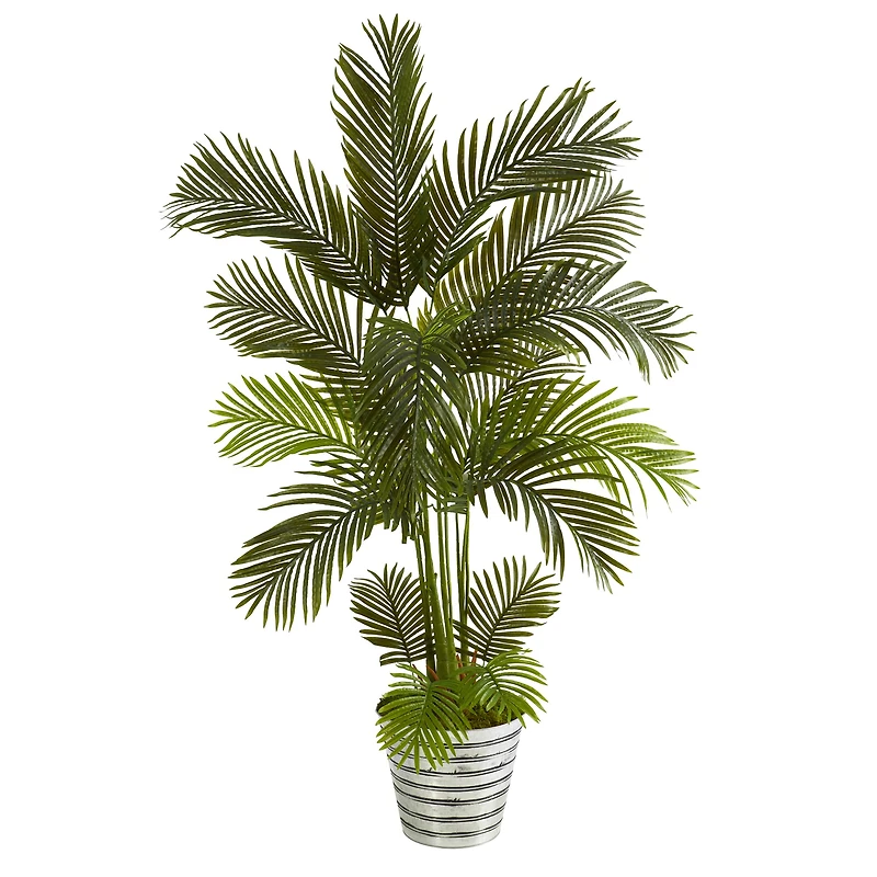 5.5ft. Areca Palm Tree in Decorative Tin Bucket