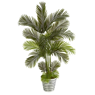 5.5ft. Areca Palm Tree in Decorative Tin Bucket