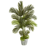 5.5ft. Areca Palm Tree in Decorative Tin Bucket