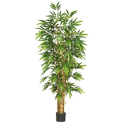 6ft. Potted Belly Bamboo Tree