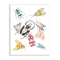 Stupell Industries Garden Insect Arrangement Charming Winged Creatures Wall Plaque