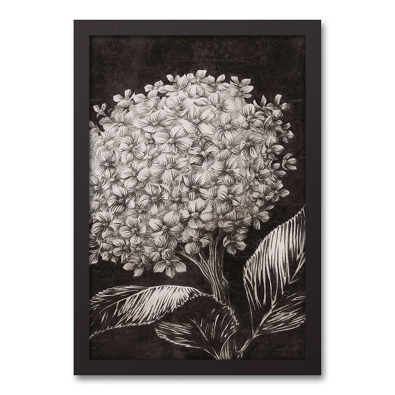 White Sketched Hydrangeas Black Framed Canvas
