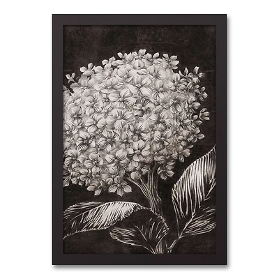 White Sketched Hydrangeas Black Framed Canvas